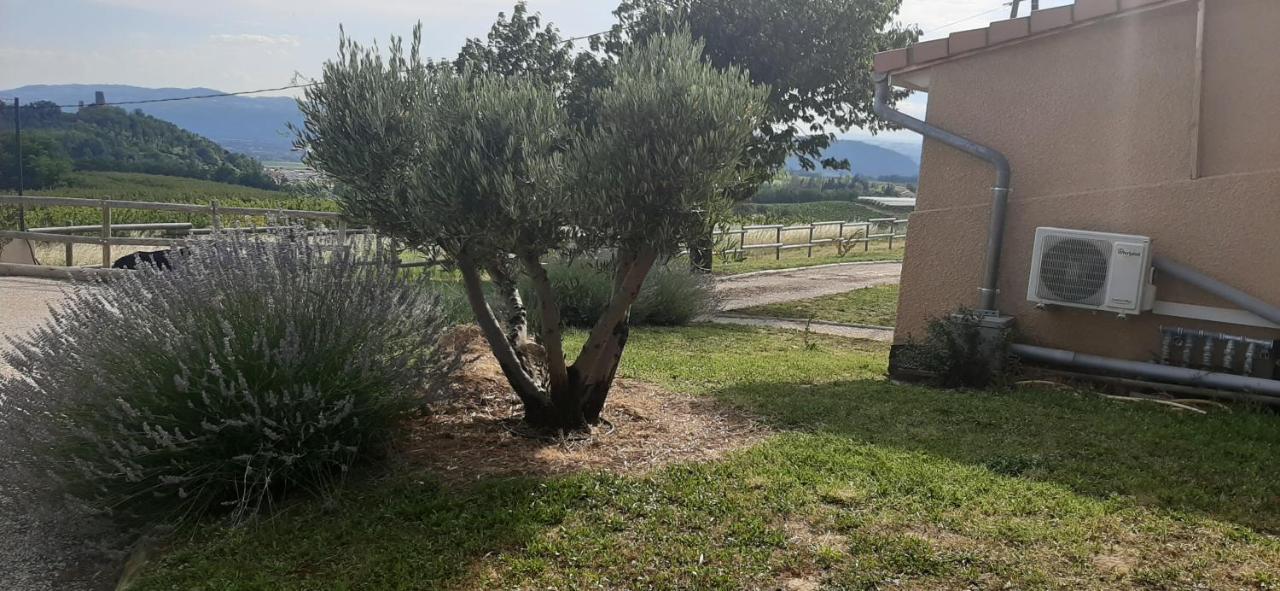 Le Pressoir Villa Mercurol-Veaunes ภายนอก รูปภาพ